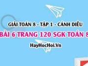 Giải bài 6 trang 120 Toán 8 Tập 1 SGK Cánh Diều